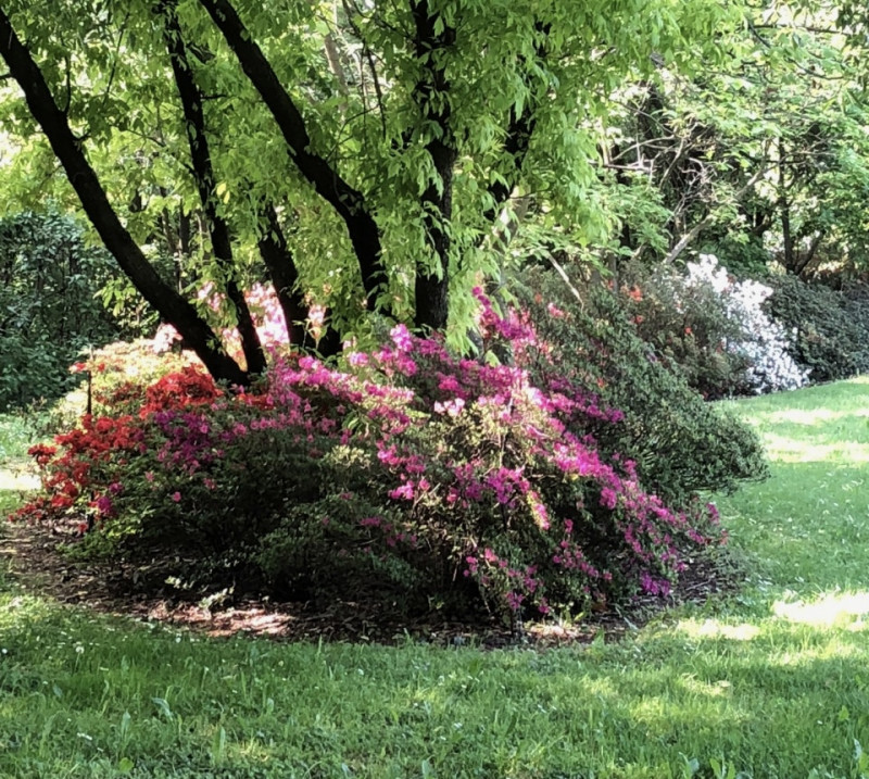 (Per INFO Stefania 3409601861) In vendita esclusiva proponiamo una straordinaria proprietà immers...