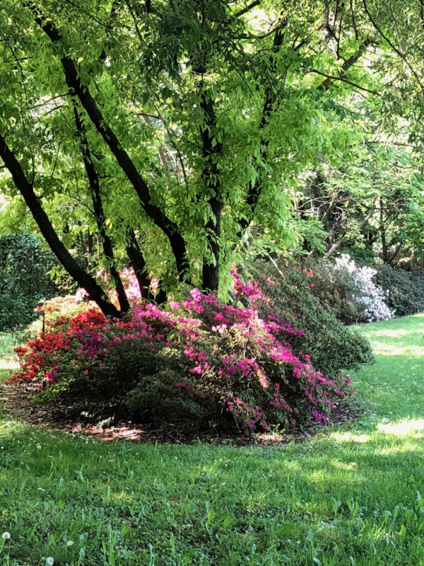 (Per INFO Stefania 3409601861) In vendita esclusiva proponiamo una straordinaria proprietà immers...