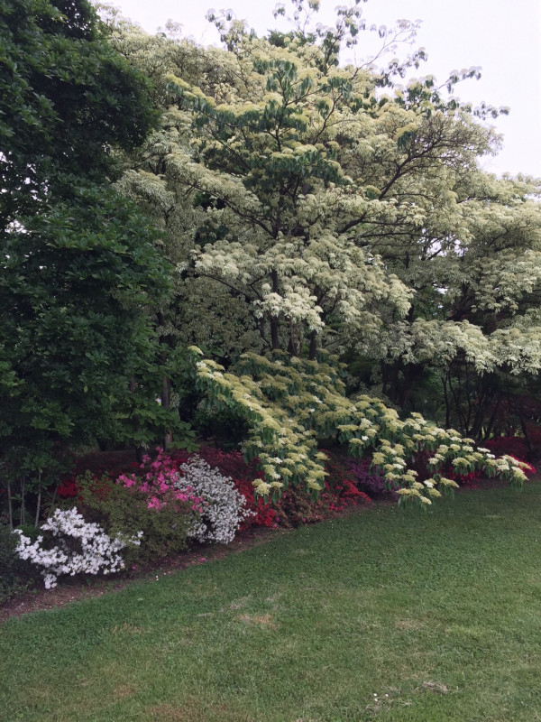 (Per INFO Stefania 3409601861) In vendita esclusiva proponiamo una straordinaria proprietà immers...