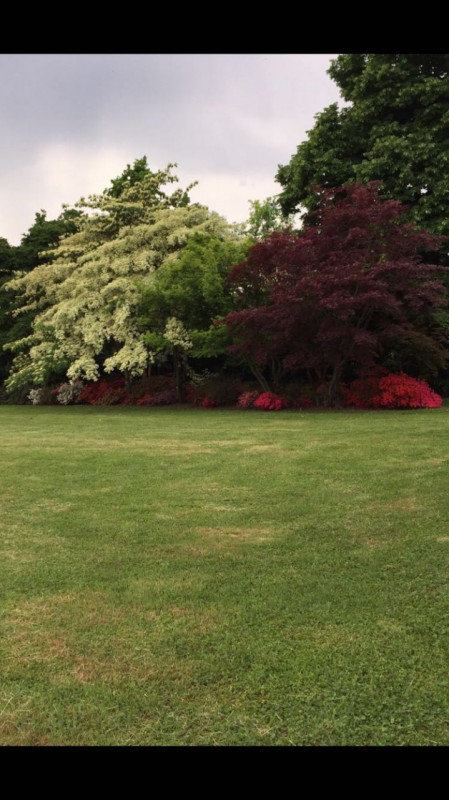 (Per INFO Stefania 3409601861) In vendita esclusiva proponiamo una straordinaria proprietà immers...