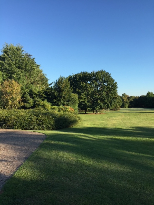 (Per INFO Stefania 3409601861) In vendita esclusiva proponiamo una straordinaria proprietà immers...