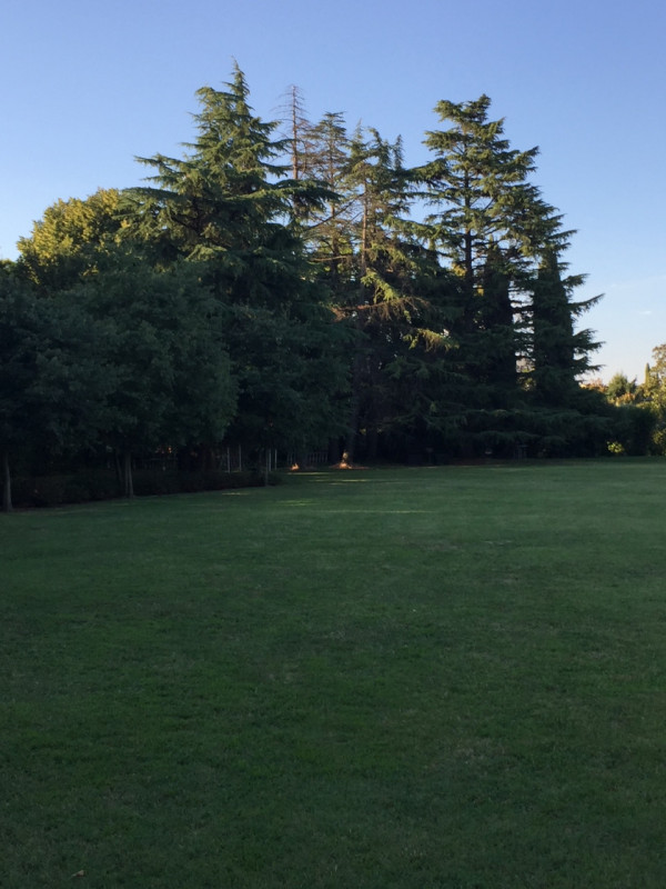 (Per INFO Stefania 3409601861) In vendita esclusiva proponiamo una straordinaria proprietà immers...