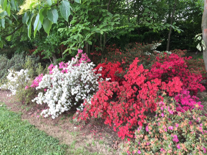 (Per INFO Stefania 3409601861) In vendita esclusiva proponiamo una straordinaria proprietà immers...