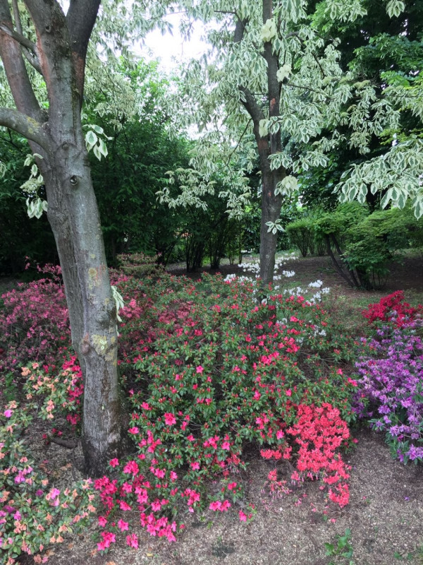 (Per INFO Stefania 3409601861) In vendita esclusiva proponiamo una straordinaria proprietà immers...