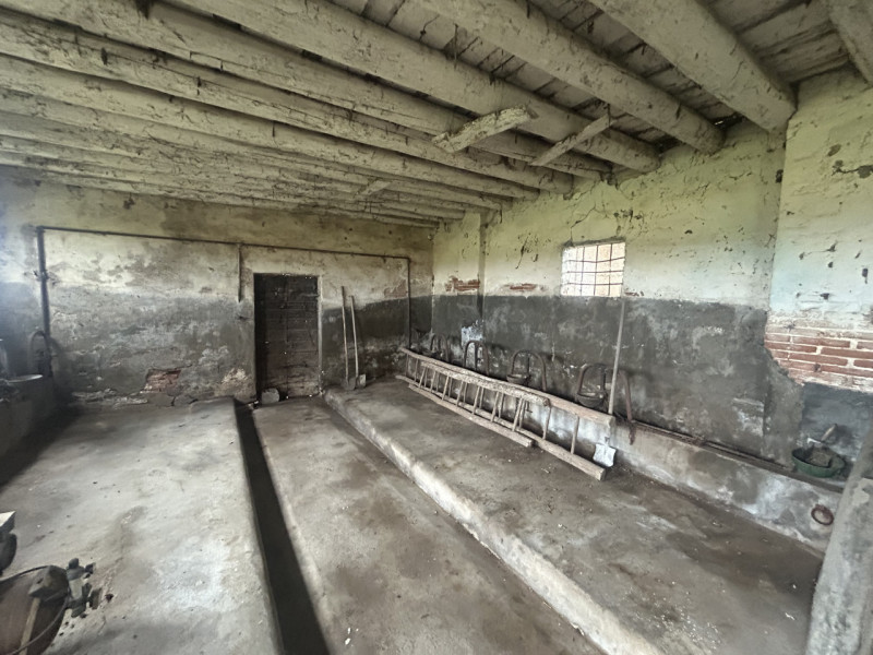 Nel cuore della campagna veneta, in un contesto di assoluta tranquillità ma a pochi minuti dai pr...