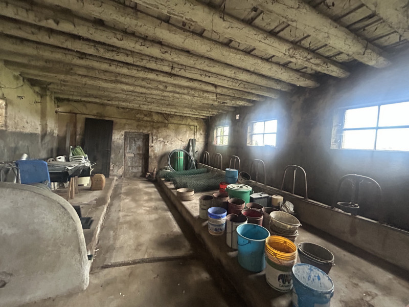 Nel cuore della campagna veneta, in un contesto di assoluta tranquillità ma a pochi minuti dai pr...