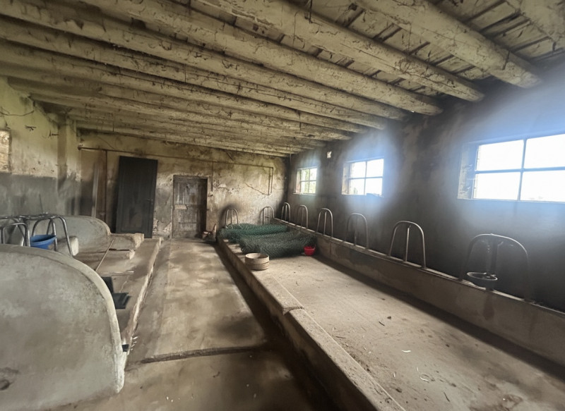 Nel cuore della campagna veneta, in un contesto di assoluta tranquillità ma a pochi minuti dai pr...