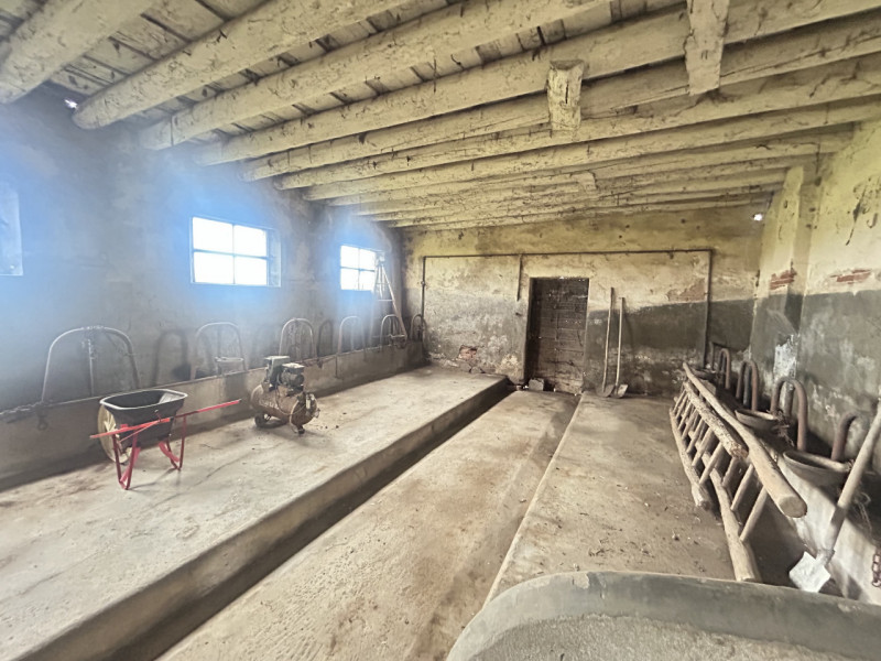 Nel cuore della campagna veneta, in un contesto di assoluta tranquillità ma a pochi minuti dai pr...