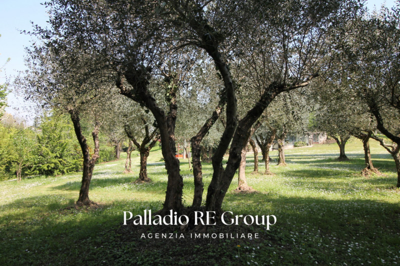 Villa unico piano - Piscina - Parco 5000 mq
Colline tra Vicenza e Arcugnano, villa singola dispos...