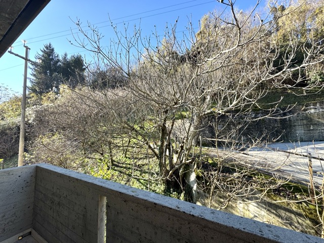 APPARTAMENTO INDIPENDENTE 

Salcedo, via Burani 8 - Appartamento tricamere in bifamiliare con ter...