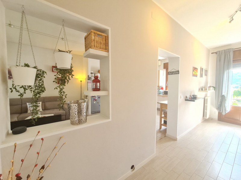 A Luvigliano, una delle zone più suggestive e ricercate dei Colli Euganei, proponiamo in vendita ...