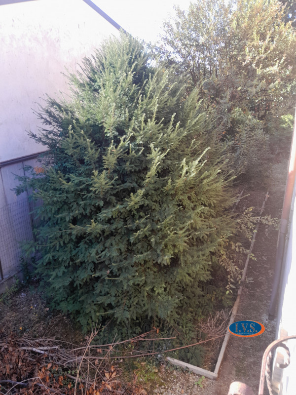 MONTEGALDA (VI): Proponiamo CASA SINGOLA  con ampio giardino in una posizione centrale del paese ...