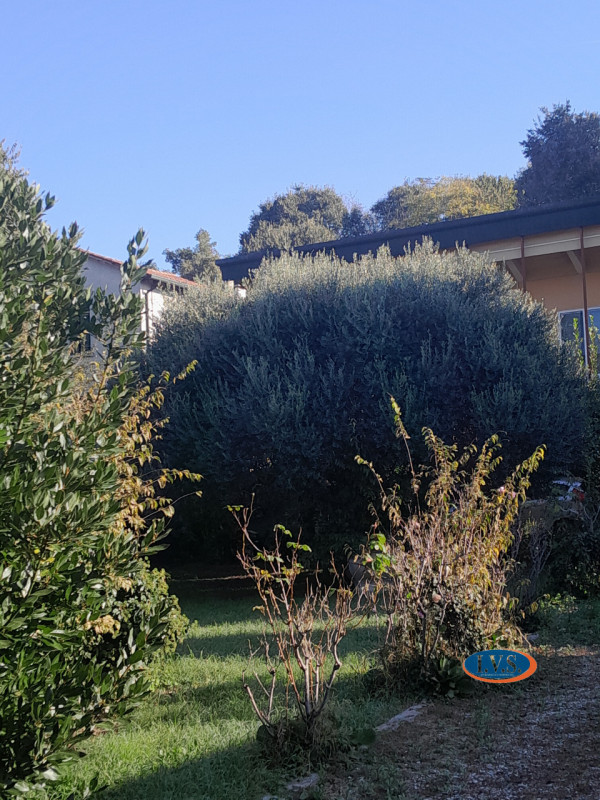 MONTEGALDA (VI): Proponiamo CASA SINGOLA  con ampio giardino in una posizione centrale del paese ...
