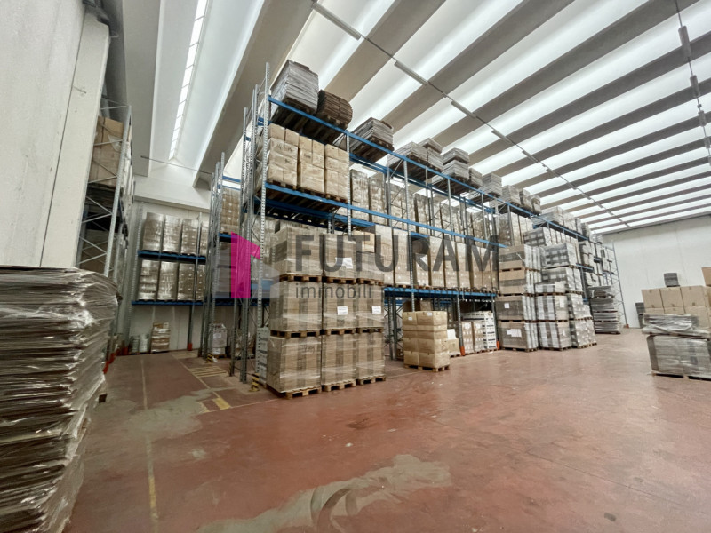 RIF: 115NM - PADOVA - PER INFO: 340335 8378 - 0444310220

Propongo in AFFITTO capannone produttiv...