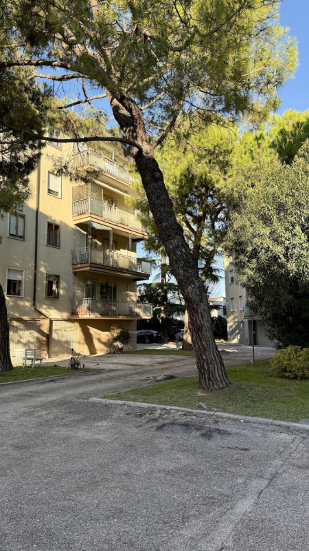 Immobile in esclusiva al Gruppo Padova MLS
SANTISSIMA TRINITA' Appartamento di tre camere all’int...