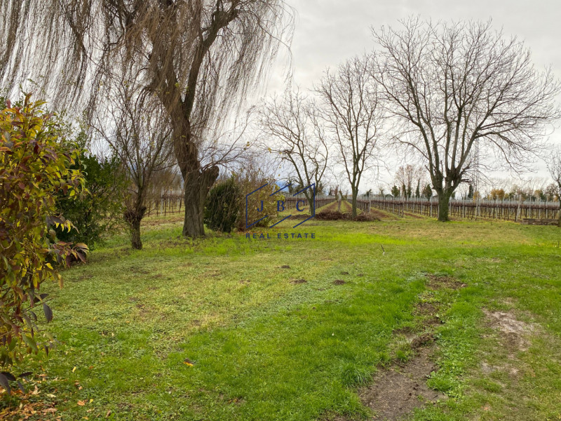 ROVERBASSO DI CODOGNE’ -  (TV)

Splendido Appartamento in Classe A1 con Ampio Annesso e giardino....