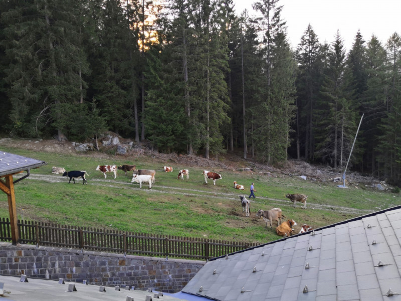 VENDESI MULTIPRORIETA' Trattasi ATTICO 4-5 PIANO, in Residence denominato "NEVESOLE" in località ...