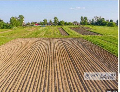 ALBETTONE: In zona comoda al casello autostradale di Longare proponiamo terreno AGRICOLO con poss...
