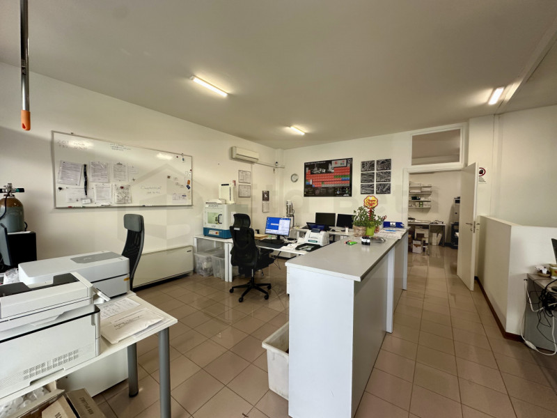 Nel centro pulsante di Limena, proponiamo in locazione un negozio spazioso e ben strutturato, ide...