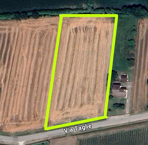 Proponiamo in vendita a Megliadino San Vitale, in via Taglie, un terreno agricolo pari a circa 2 ...