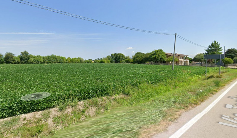 Proponiamo in vendita a Megliadino San Vitale, in via Taglie, un terreno agricolo pari a circa 2 ...