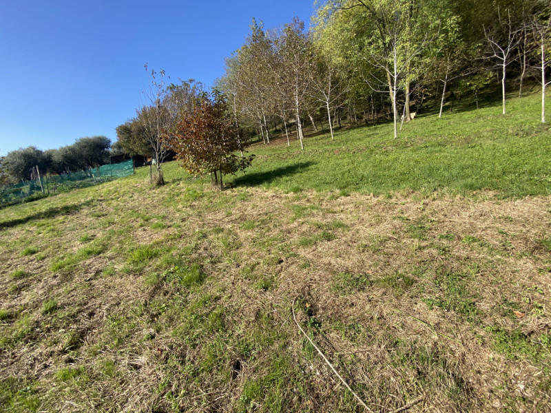 CALVENE: proponiamo un ampio terreno residenziale in vendita, perfetto per chi desidera realizzar...