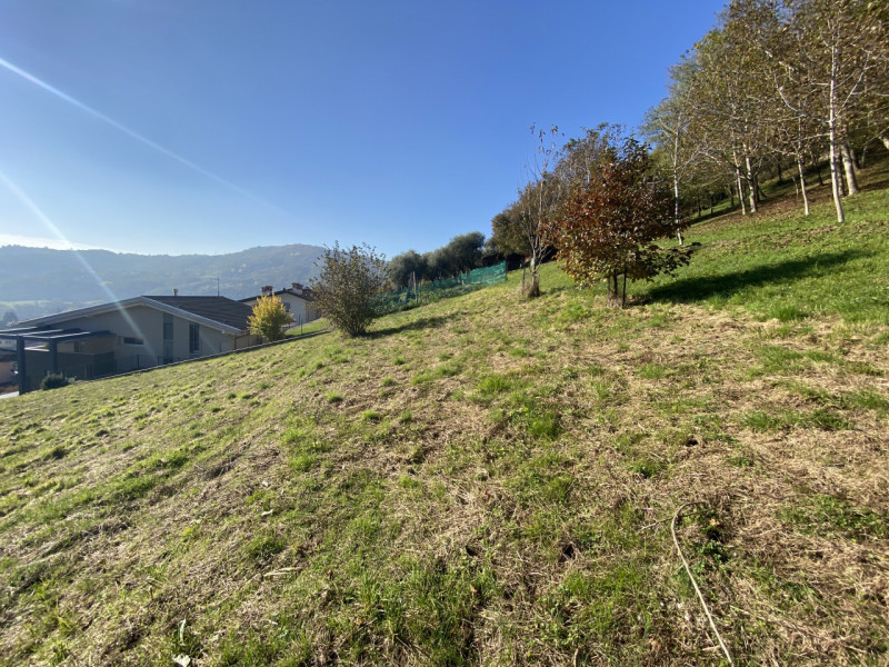 CALVENE: proponiamo un ampio terreno residenziale in vendita, perfetto per chi desidera realizzar...