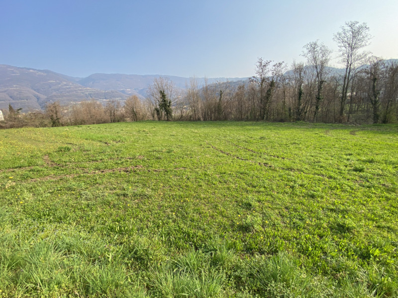 LUGO DI VICENZA. Disponibile terreno agricolo di oltre 20.858mq con prato, pascolo e boschetto in...