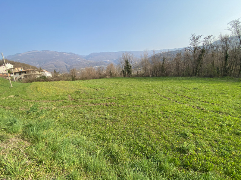 LUGO DI VICENZA. Disponibile terreno agricolo di oltre 20.858mq con prato, pascolo e boschetto in...