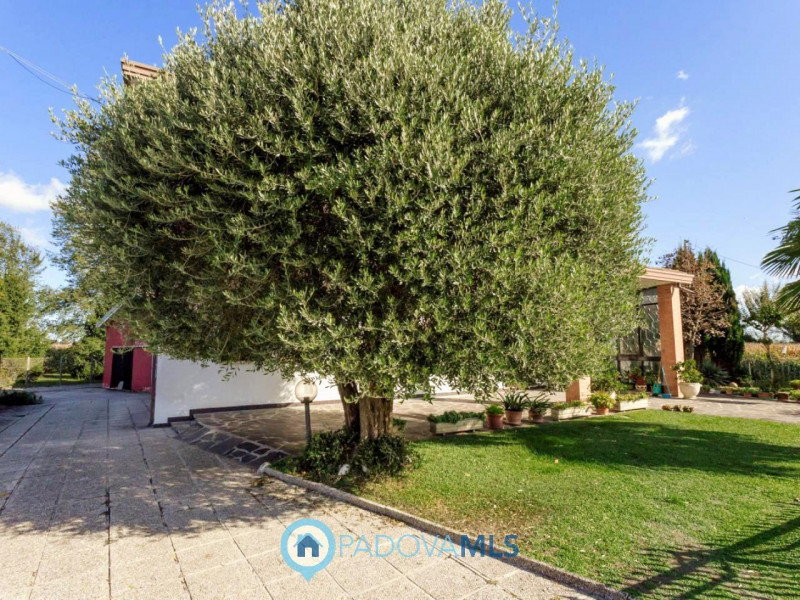 Immobile in esclusiva al Gruppo Padova MLS

In una tranquilla zona di campagna ad Agna, non dista...