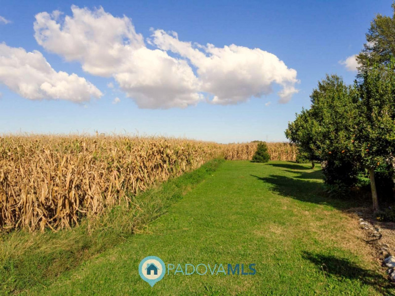 Immobile in esclusiva al Gruppo Padova MLS

In una tranquilla zona di campagna ad Agna, non dista...