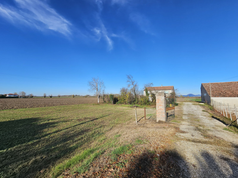 Proponiamo in vendita a Vescovana, nella tranquillità della campagna, un appezzamento di terreno ...