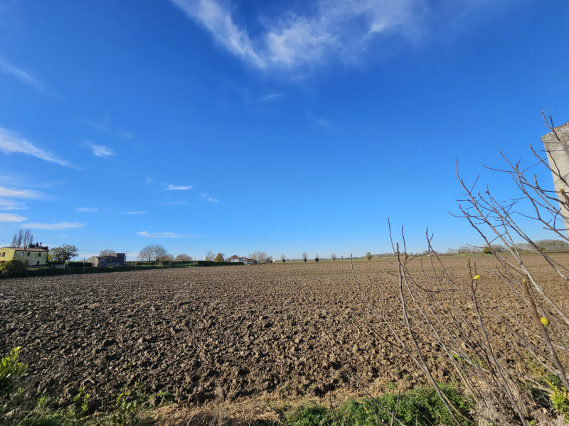 Proponiamo in vendita a Vescovana, nella tranquillità della campagna, un appezzamento di terreno ...