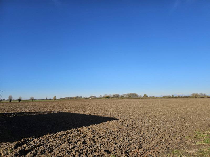 Proponiamo in vendita a Vescovana, nella tranquillità della campagna, un appezzamento di terreno ...