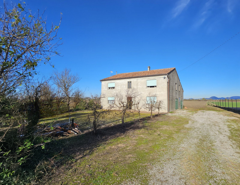 Proponiamo in vendita a Vescovana, nella tranquillità della campagna, un appezzamento di terreno ...