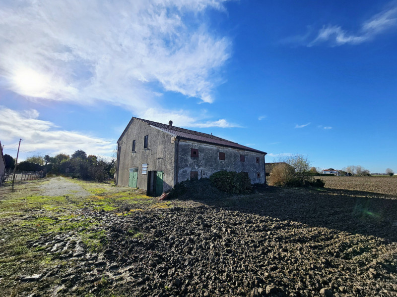 Proponiamo in vendita a Vescovana, nella tranquillità della campagna, un appezzamento di terreno ...