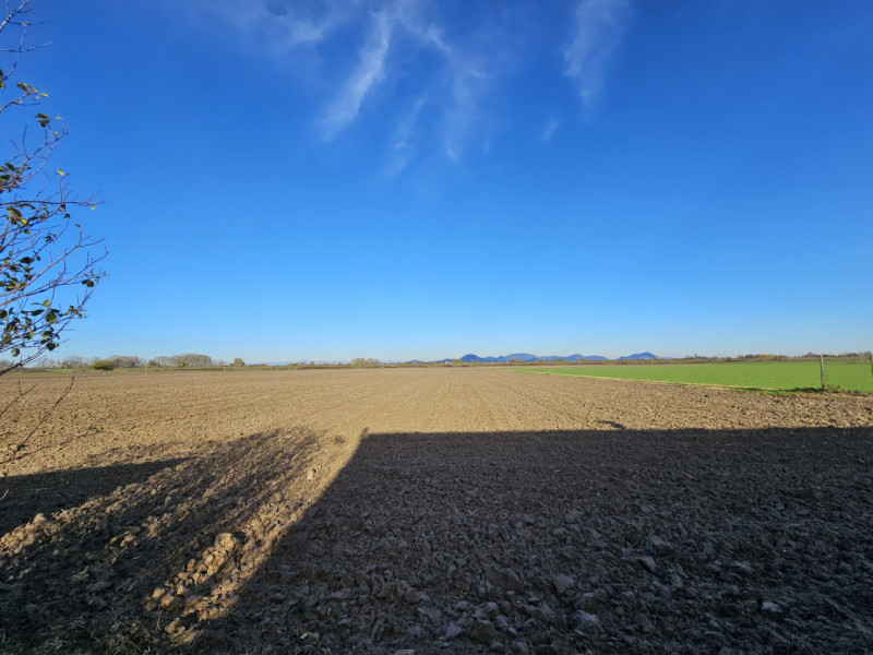 Proponiamo in vendita a Vescovana, nella tranquillità della campagna, un appezzamento di terreno ...