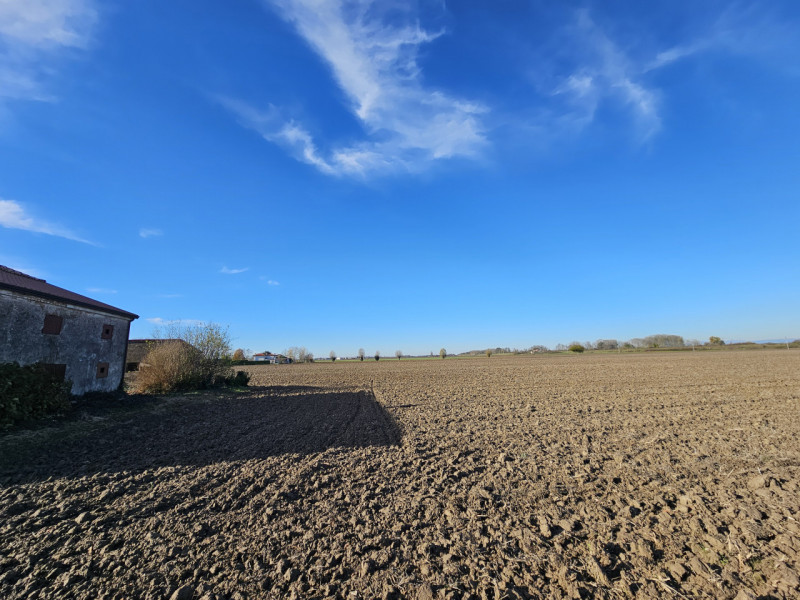 Proponiamo in vendita a Vescovana, nella tranquillità della campagna, un appezzamento di terreno ...