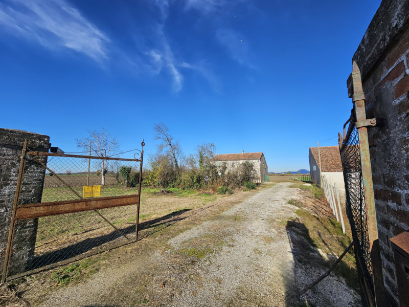 Proponiamo in vendita a Vescovana, nella tranquillità della campagna, un appezzamento di terreno ...