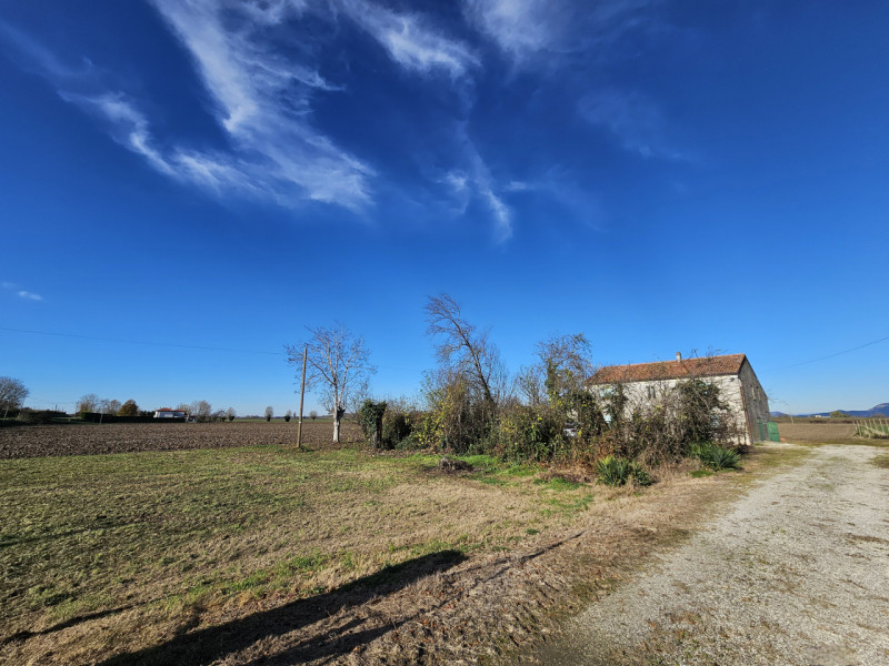 Proponiamo in vendita a Vescovana, nella tranquillità della campagna, un appezzamento di terreno ...