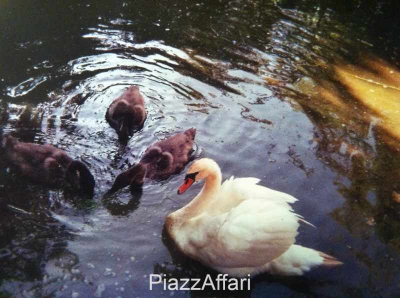 Stravagante ed eclettica proprietà costituita da una villa singola immersa nella pace e nella tra...