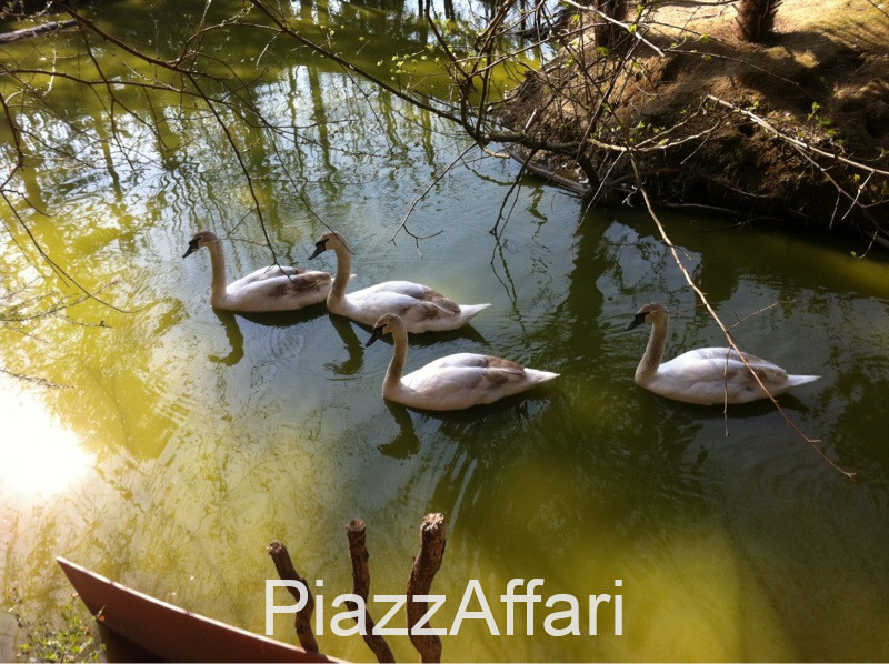 Stravagante ed eclettica proprietà costituita da una villa singola immersa nella pace e nella tra...