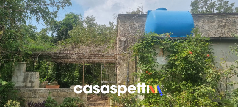 Rustici e casali in Vendita a Avella