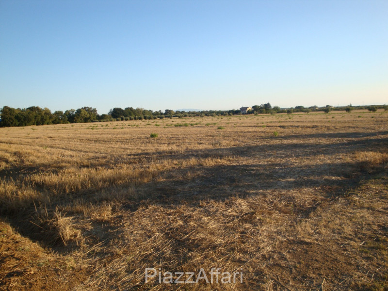In centro a Villa del Bosco, adiacente al quartiere residenziale di Via San Bovo e con accesso di...