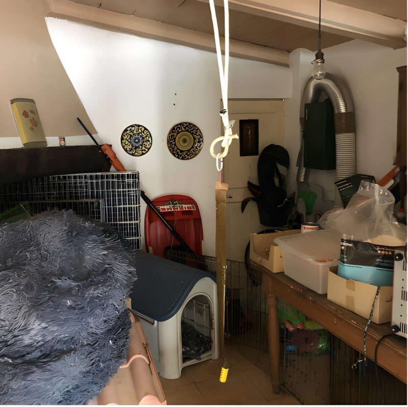 APPARTAMENTI ALL'ASTA IN VIA ROMA, CONSELVE (PD)

Si propone il diritto di piena proprietà su imm...