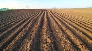 Situato nella splendida provincia di Padova, questo terreno agricolo di 30 ettari (300.000 mq) ra...