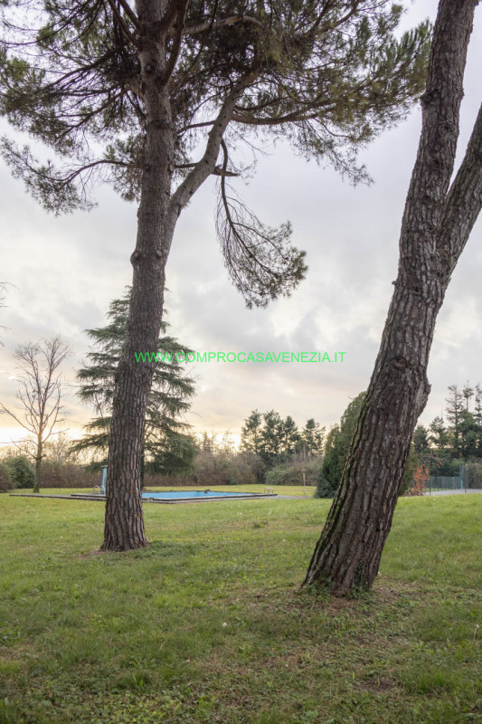 Scoprite questa straordinaria villa contemporanea degli anni '70 situata nel tranquillo e verdegg...