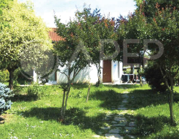 Rif. A.A.99-24

Vendita all'asta - abitazione unifamiliare su 2 livelli in data 22 gennaio 2026

...