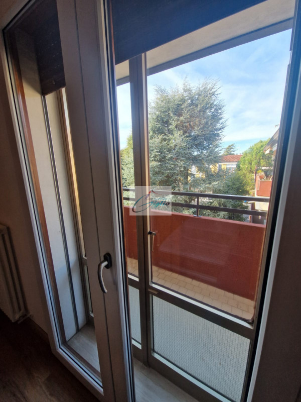 Padova - Noventa

NON CHIAMARE MA MANDARE SOLO MAIL CON NUMERO DI TELEFONO.
Saranno prese in cons...