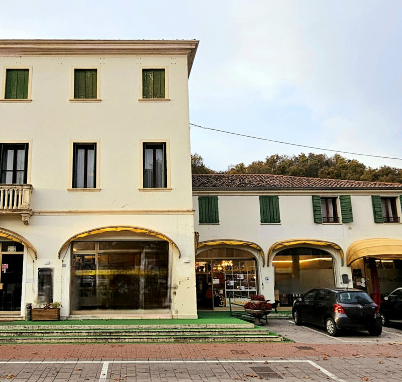In una posizione centrale a Treponti, frazione del comune di Teolo, proponiamo in vendita un nego...